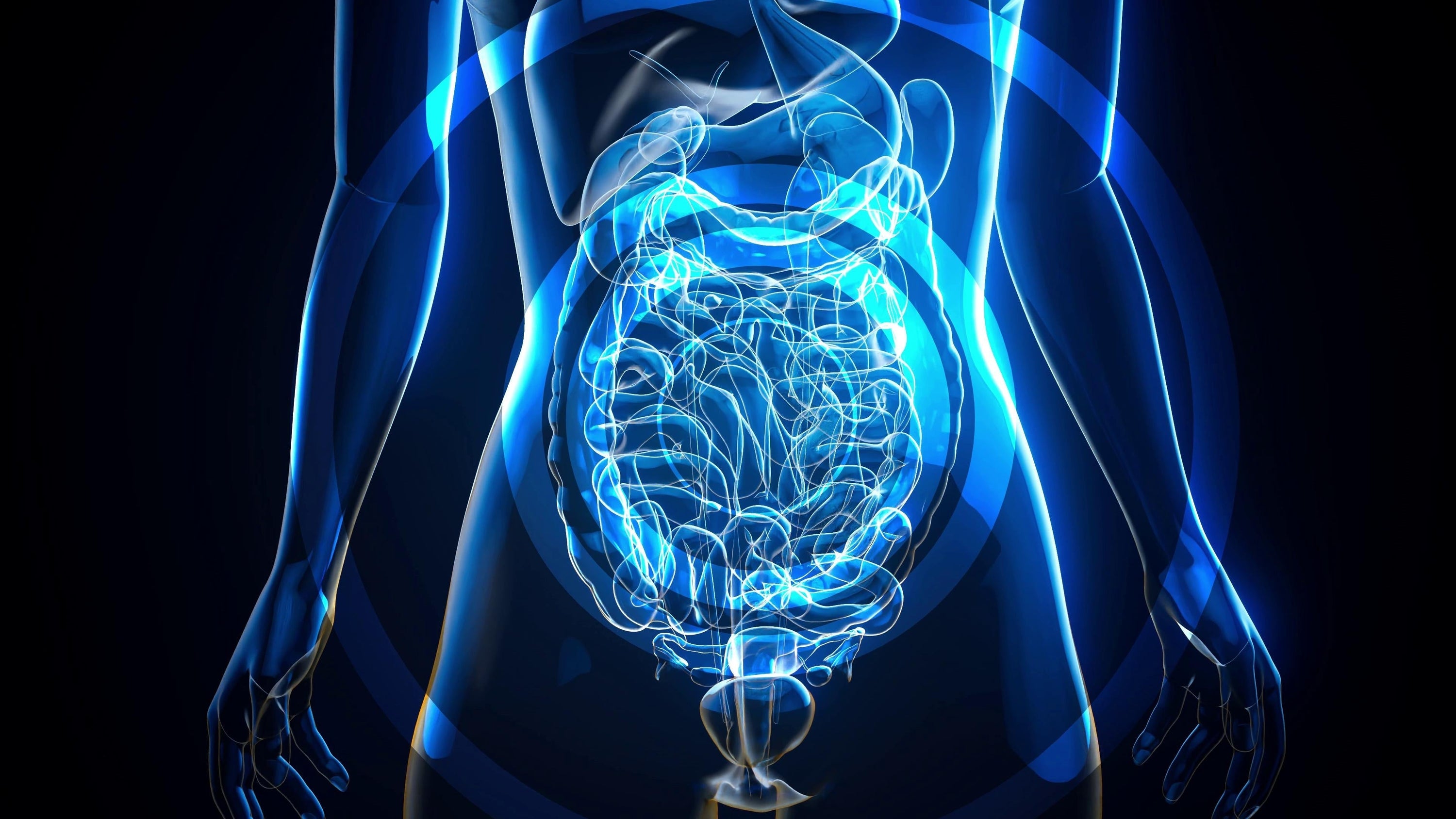 Střevní bariéra pod lupou: Role glutaminu ve stravě a doplňcích