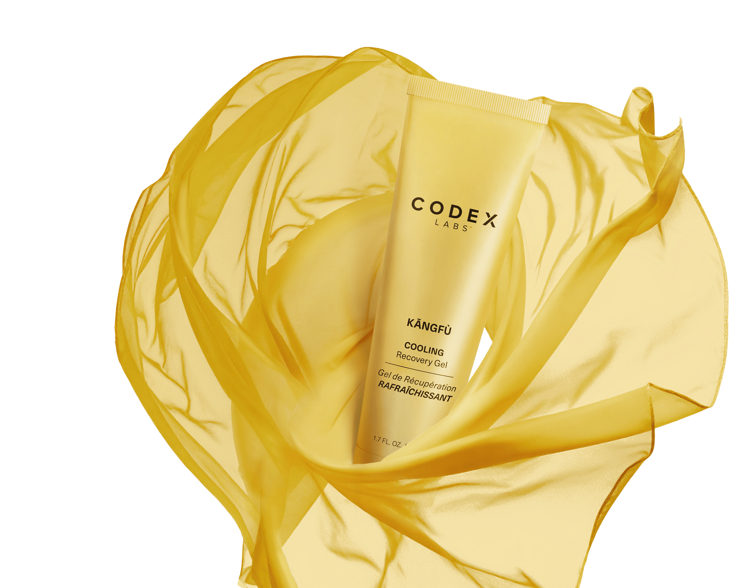 KĀNGFÙ | REGENERACE