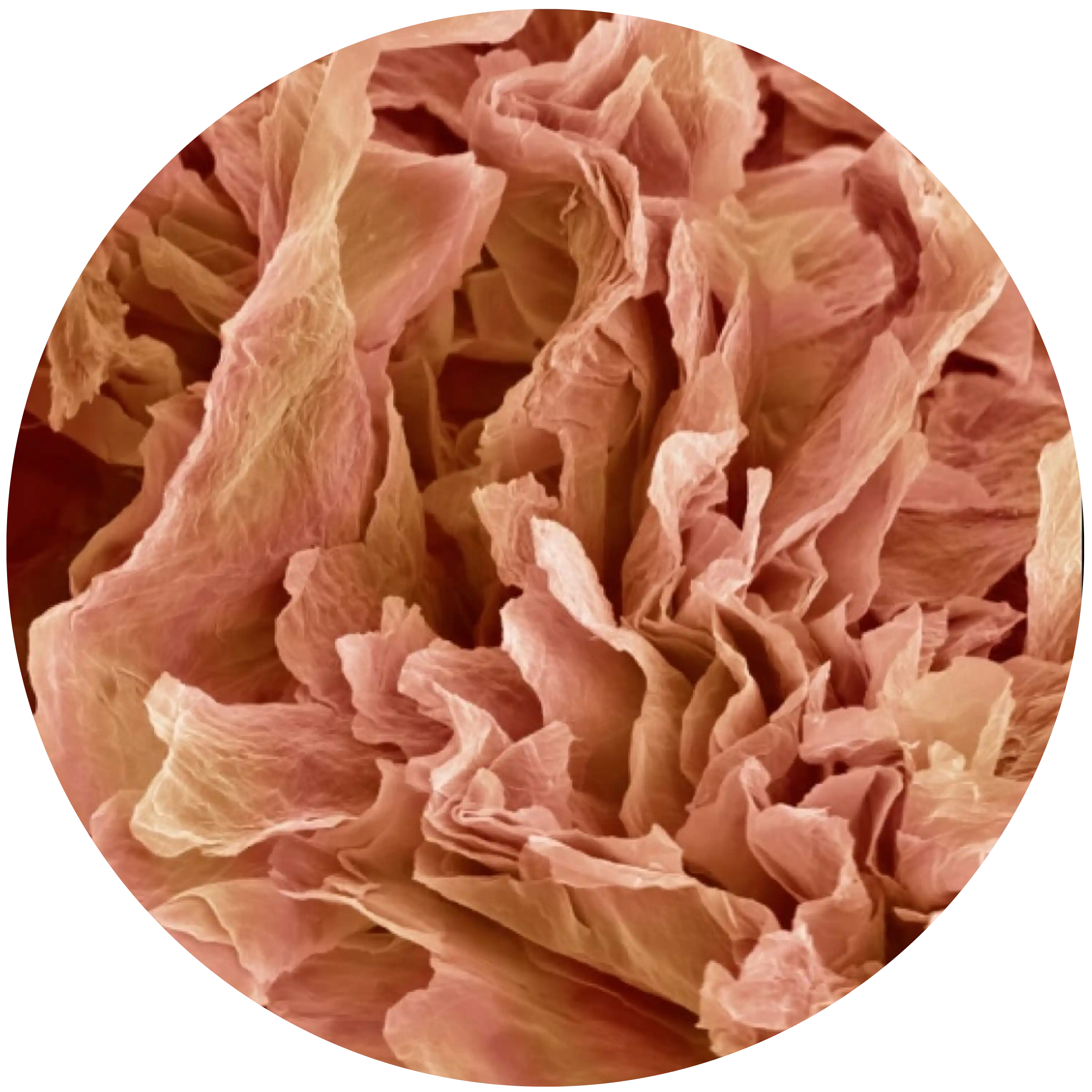 Oslabená kožní bariéra