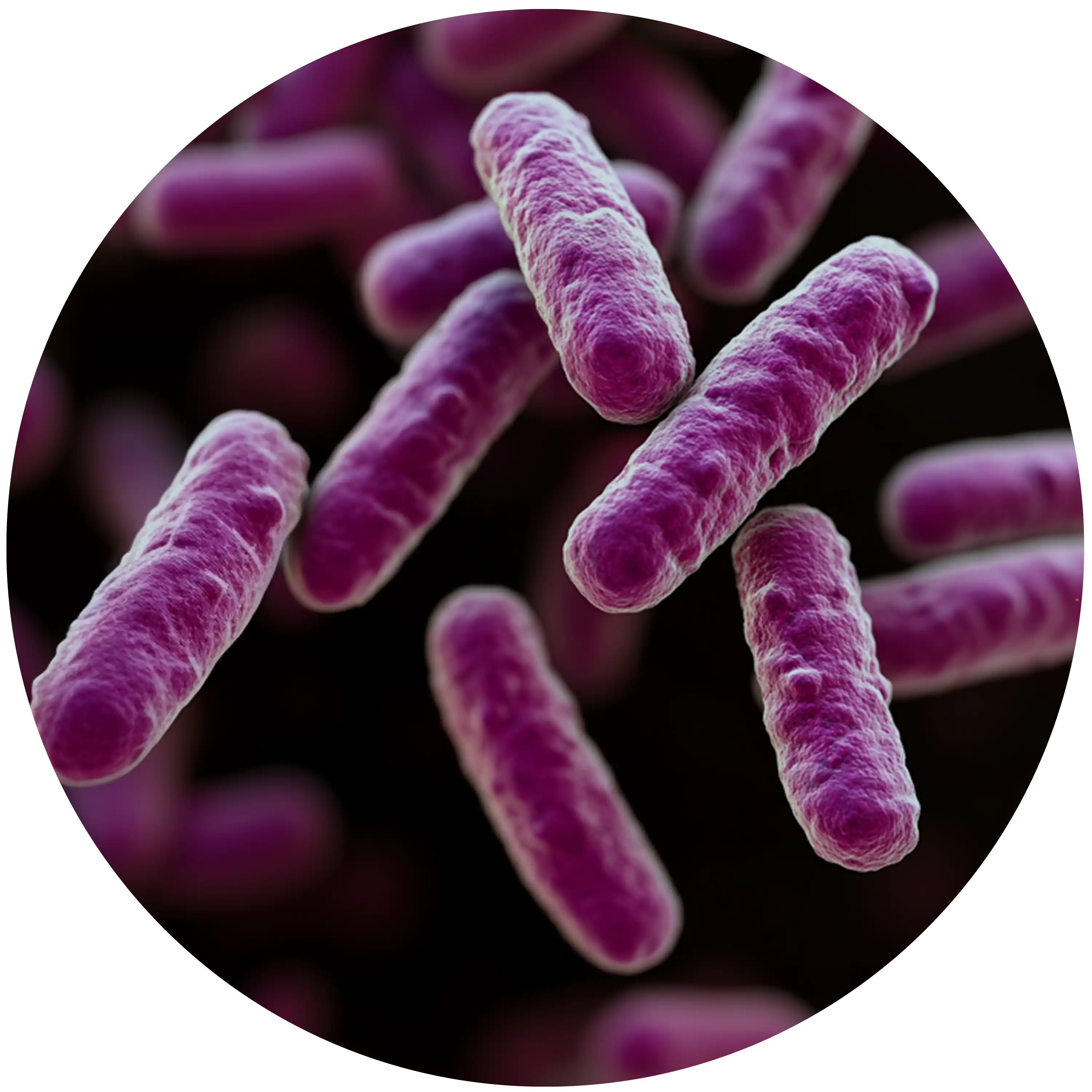 Nerovnováha střevního mikrobiomu